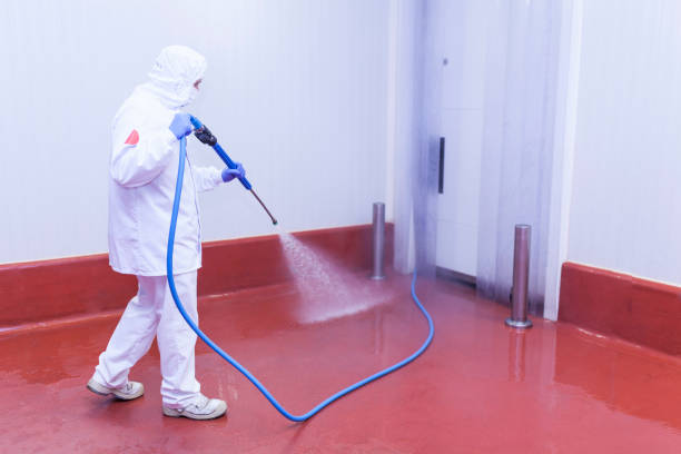 Best Building Exterior Washing  in Helotes, TX