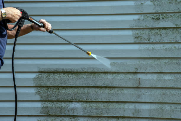 Best Sidewalk and Walkway Cleaning  in Helotes, TX